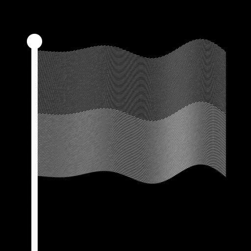 Flag 🏳️🏴