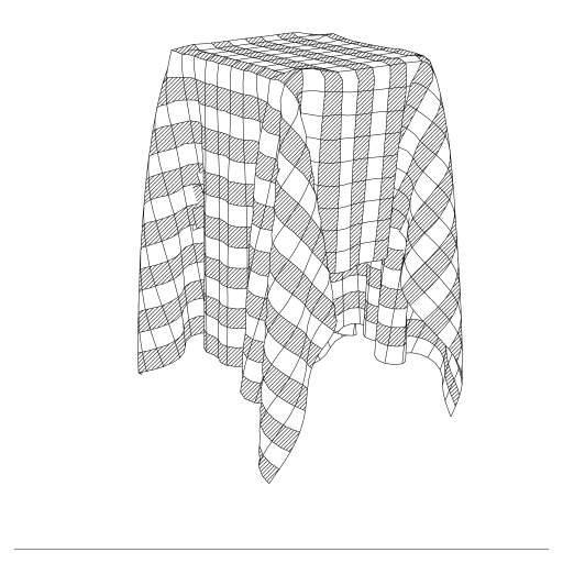 Cloth